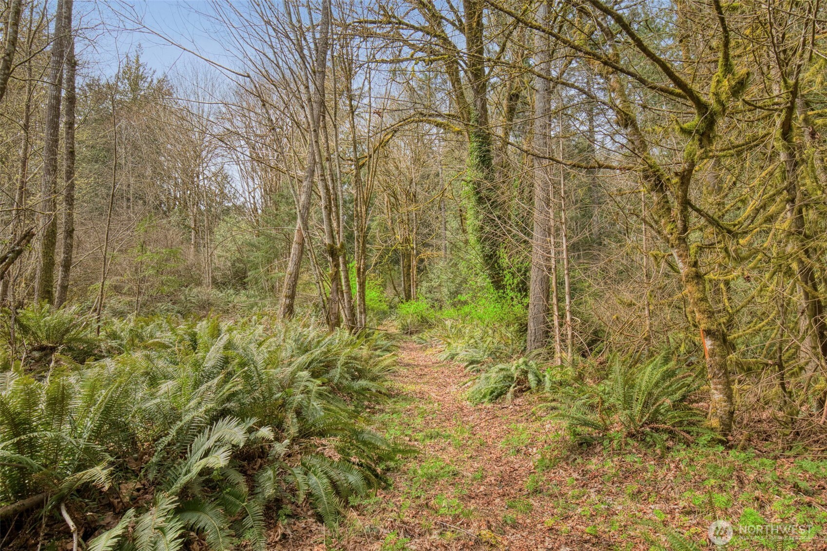 435 NW Sword Fern Lane , Poulsbo, WA 98370