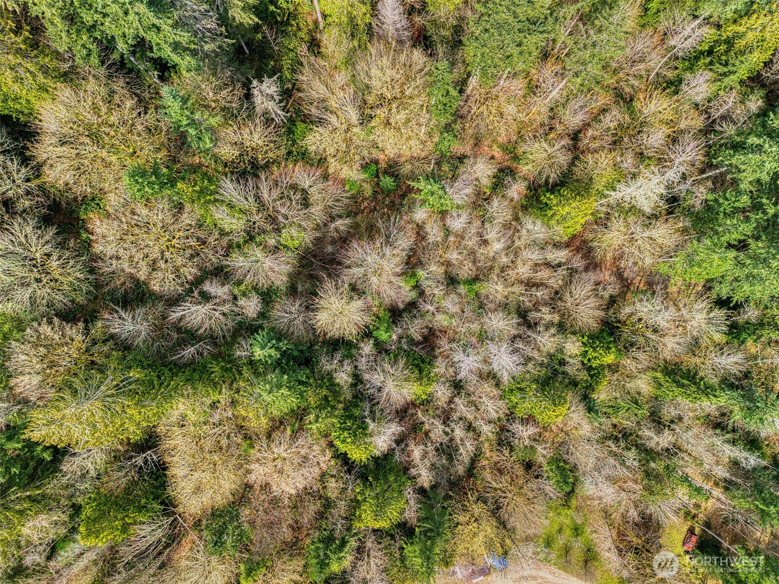 435 NW Sword Fern Lane , Poulsbo, WA 98370