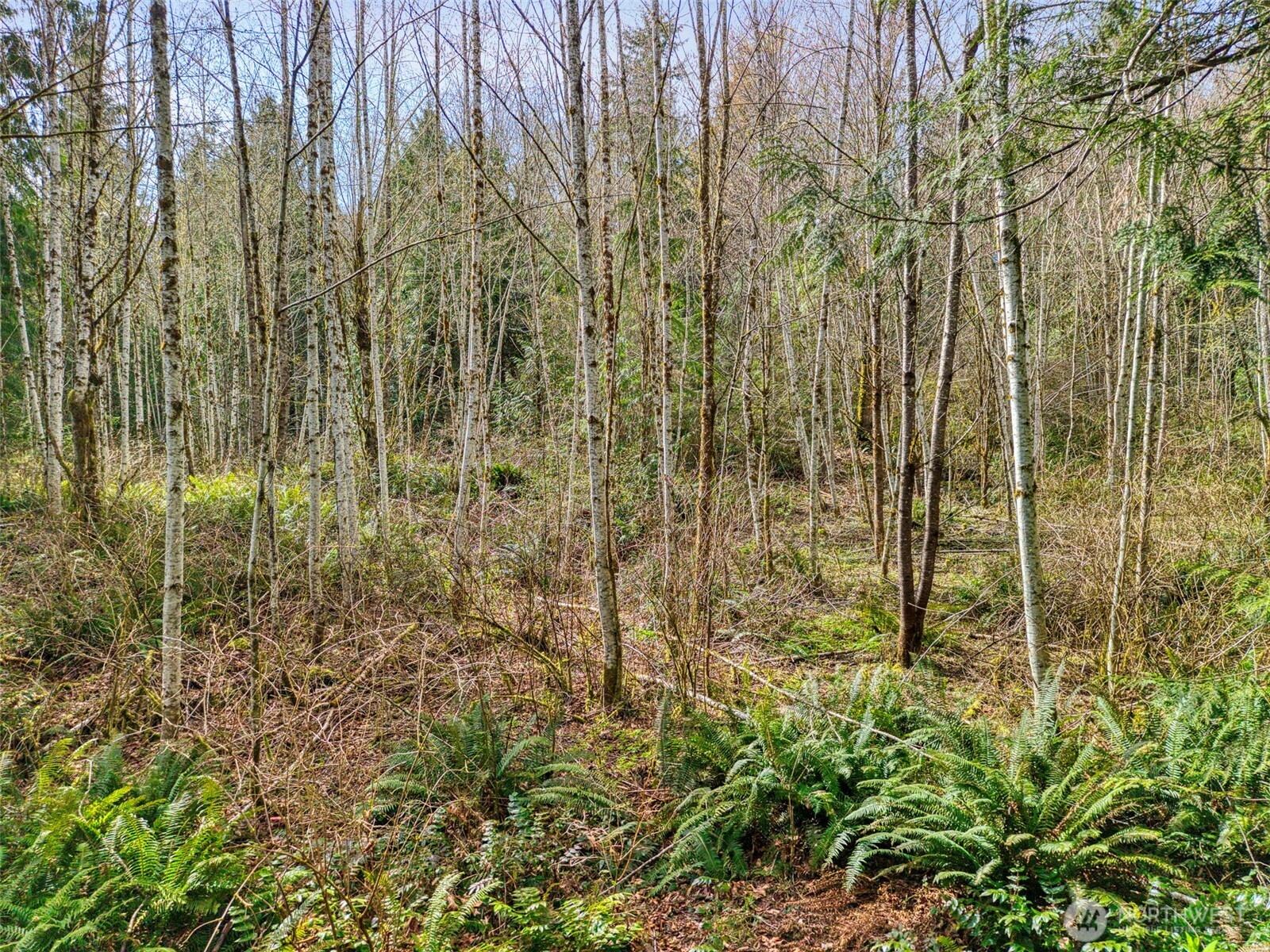 435 NW Sword Fern Lane , Poulsbo, WA 98370