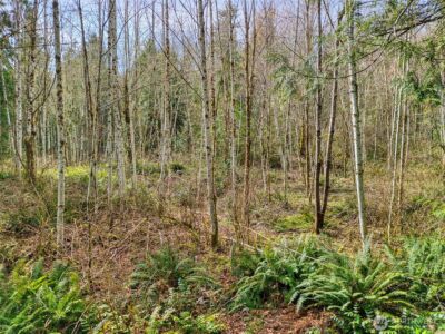 435 NW Sword Fern Lane , Poulsbo, WA 98370 - Photo 21