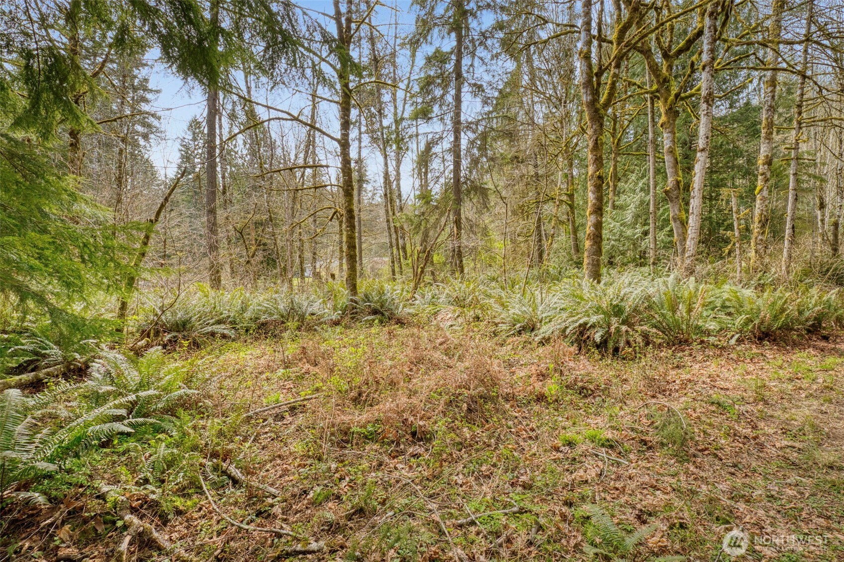 435 NW Sword Fern Lane , Poulsbo, WA 98370