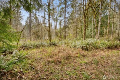 435 NW Sword Fern Lane , Poulsbo, WA 98370 - Photo 22