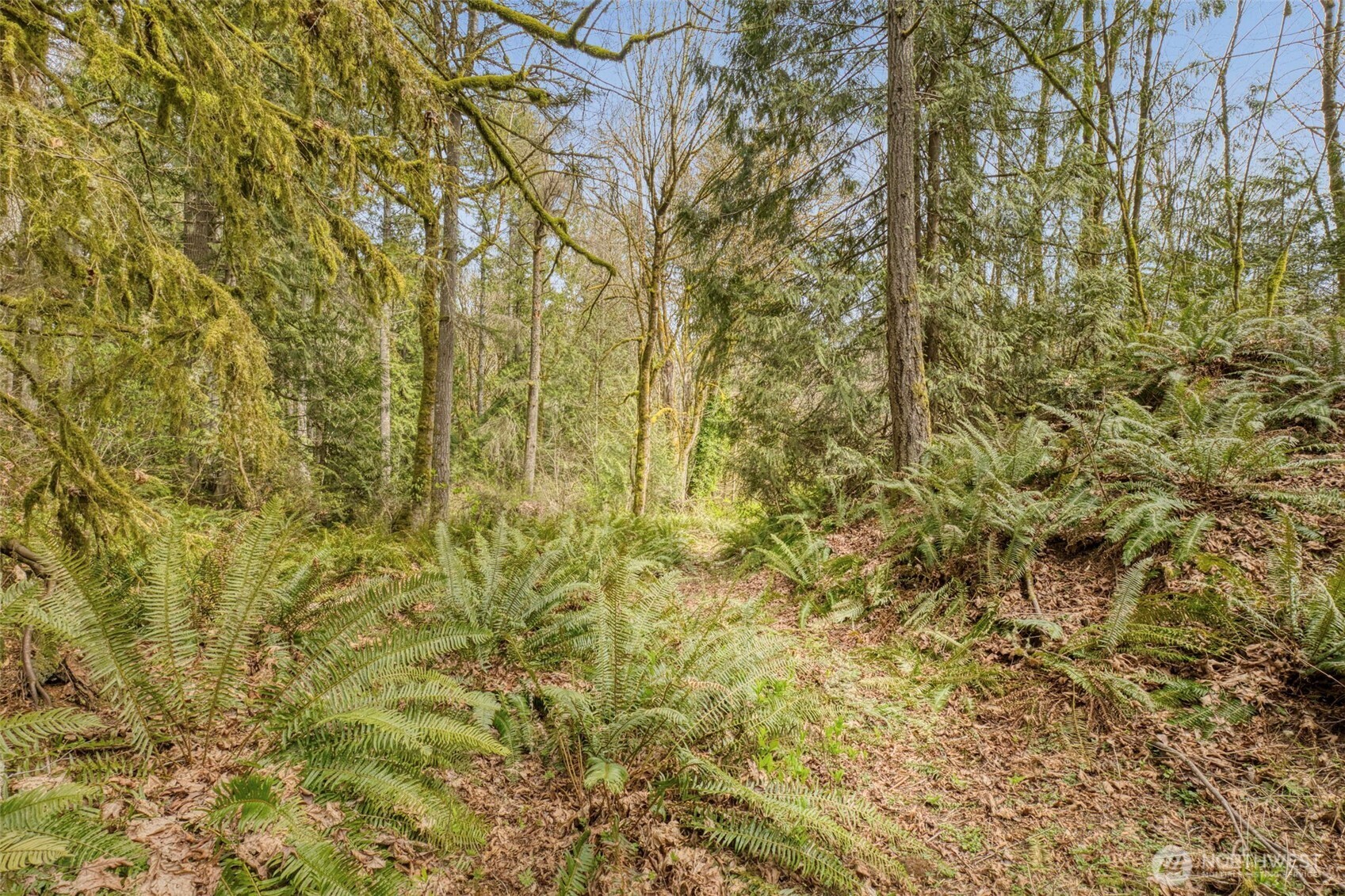 435 NW Sword Fern Lane , Poulsbo, WA 98370
