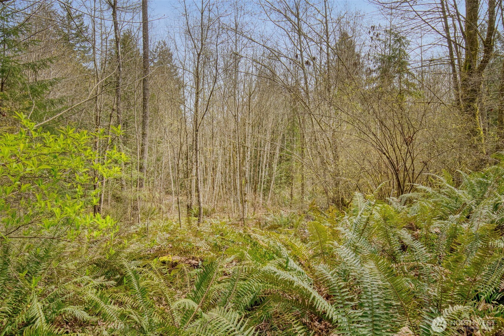 435 NW Sword Fern Lane , Poulsbo, WA 98370