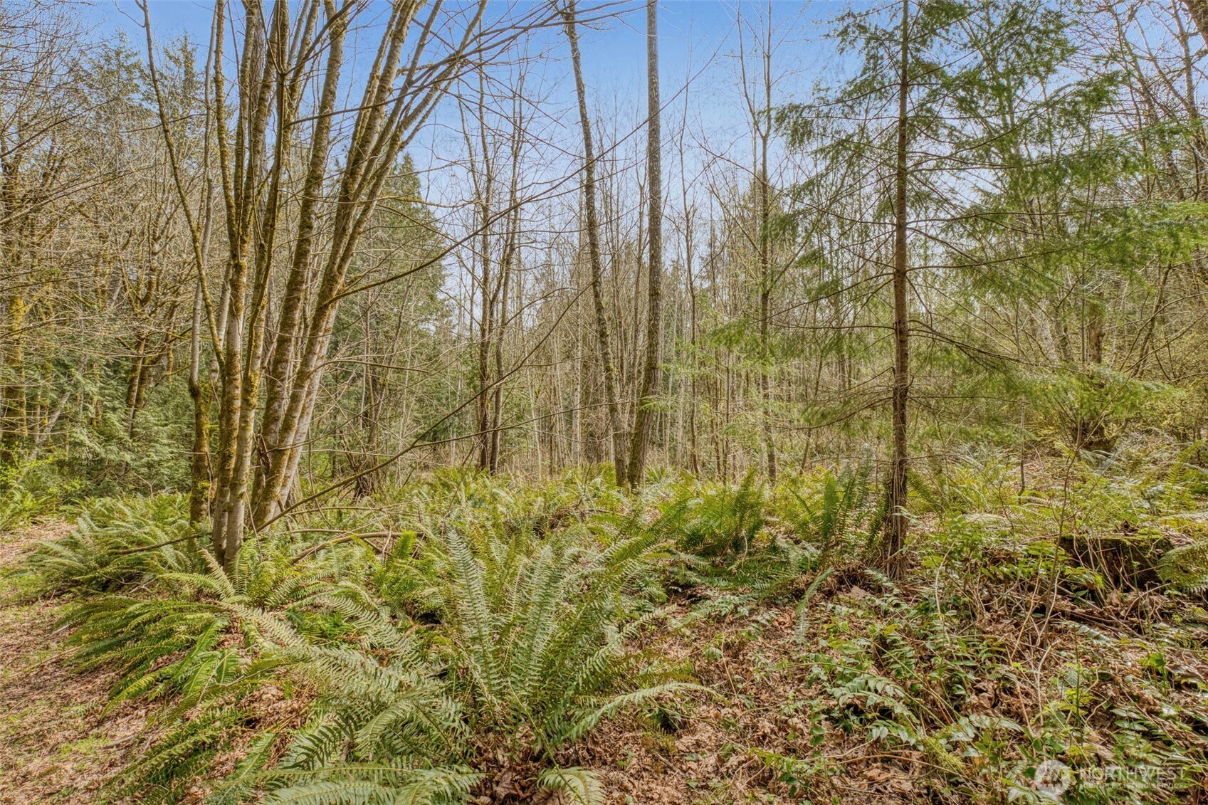 435 NW Sword Fern Lane , Poulsbo, WA 98370