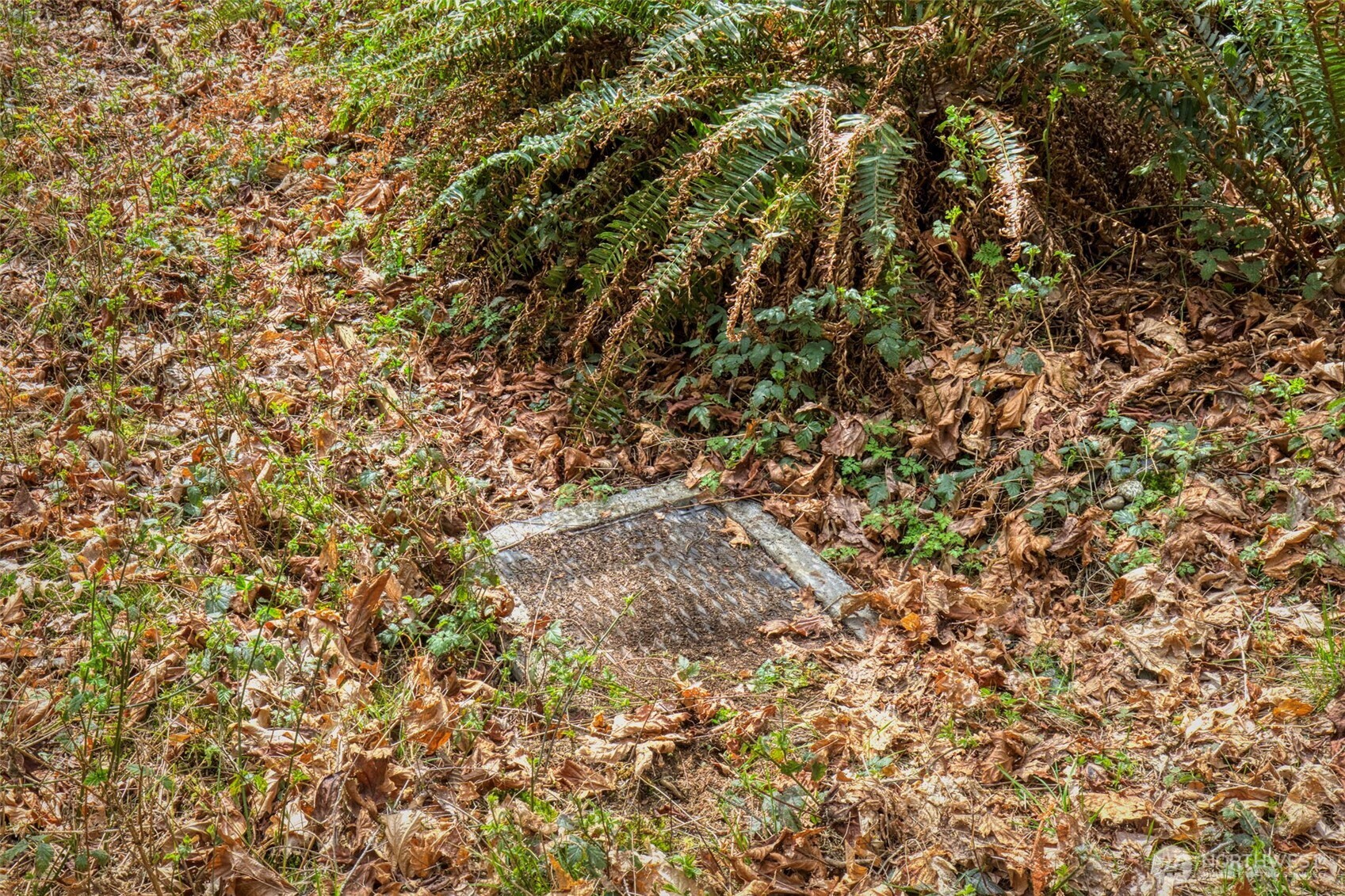 435 NW Sword Fern Lane , Poulsbo, WA 98370