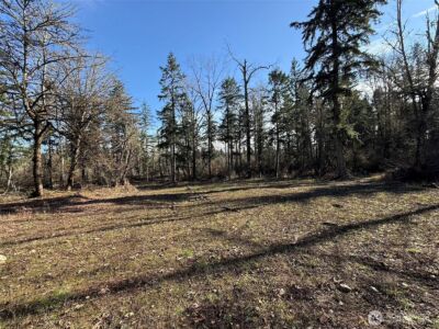 33507 84th Avenue E, Eatonville, WA 98328 - Photo 11