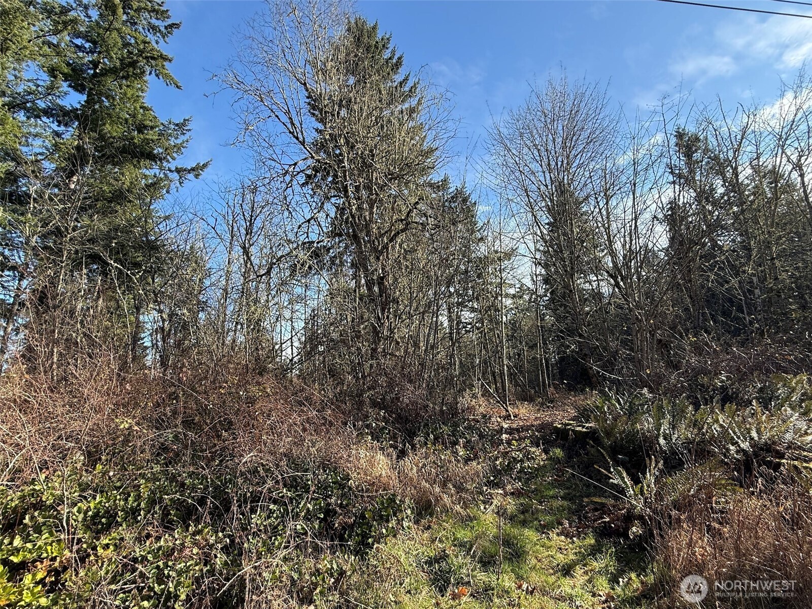 33507 84th Avenue E, Eatonville, WA 98328