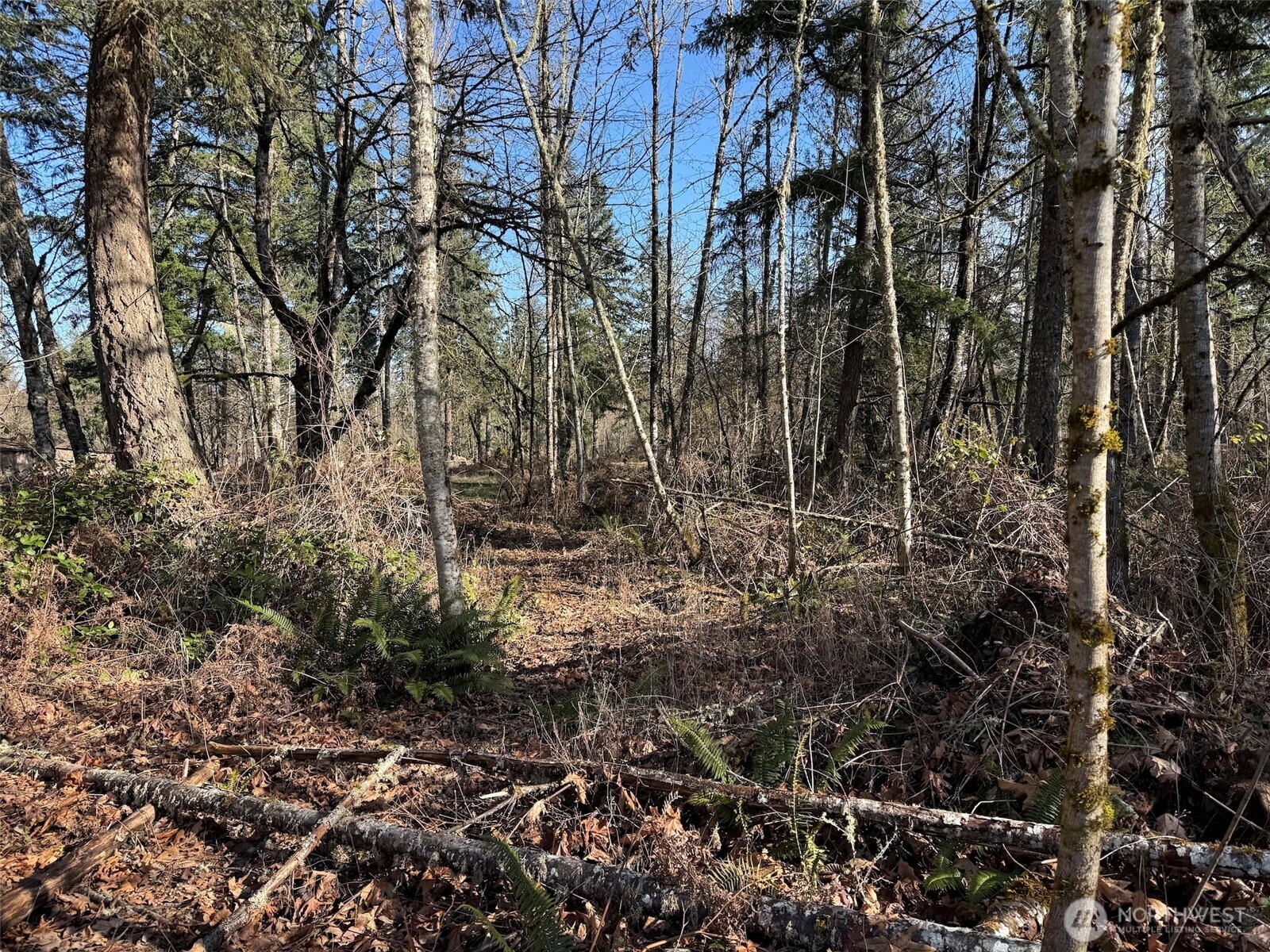 33507 84th Avenue E, Eatonville, WA 98328