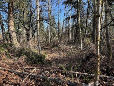 33507 84th Avenue E, Eatonville, WA 98328 - Photo 16