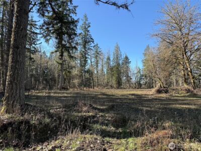 33507 84th Avenue E, Eatonville, WA 98328 - Photo 17