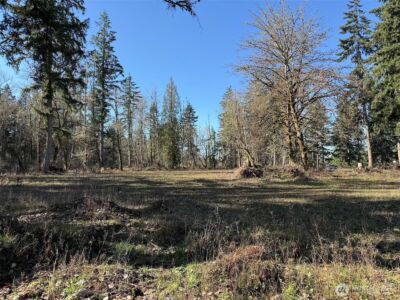 33507 84th Avenue E, Eatonville, WA 98328 - Photo 18