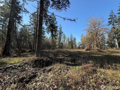 33507 84th Avenue E, Eatonville, WA 98328 - Photo 19