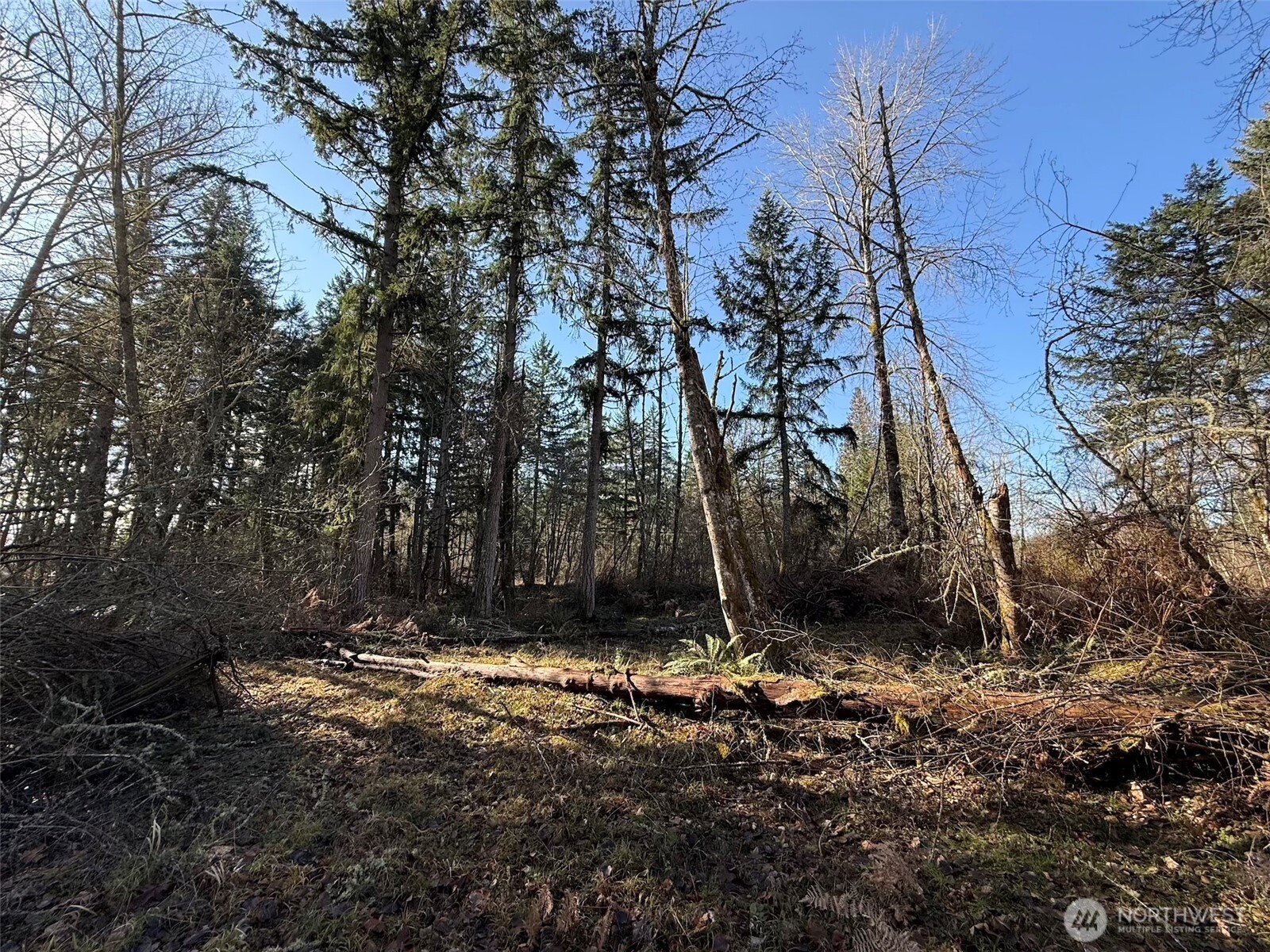 33507 84th Avenue E, Eatonville, WA 98328