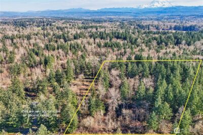 33507 84th Avenue E, Eatonville, WA 98328 - Photo 2