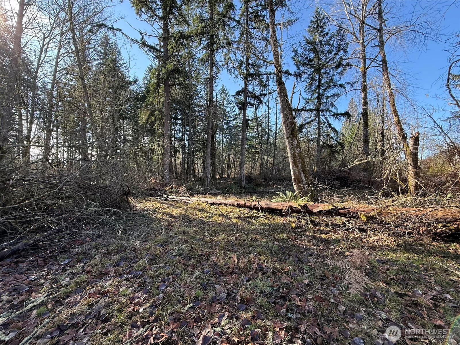 33507 84th Avenue E, Eatonville, WA 98328