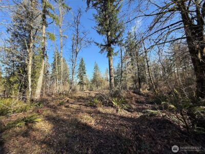 33507 84th Avenue E, Eatonville, WA 98328 - Photo 22