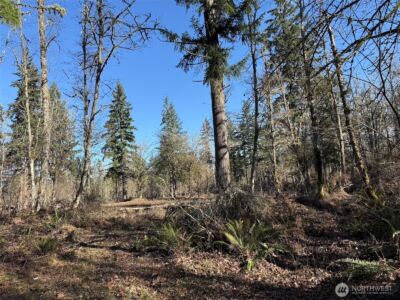 33507 84th Avenue E, Eatonville, WA 98328 - Photo 23