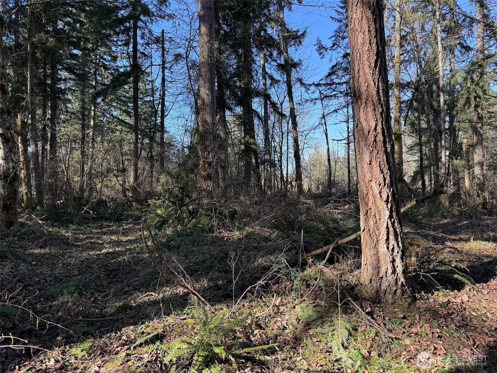 33507 84th Avenue E, Eatonville, WA 98328