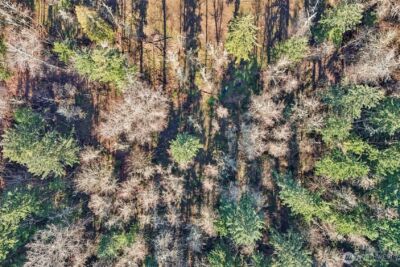 33507 84th Avenue E, Eatonville, WA 98328 - Photo 26