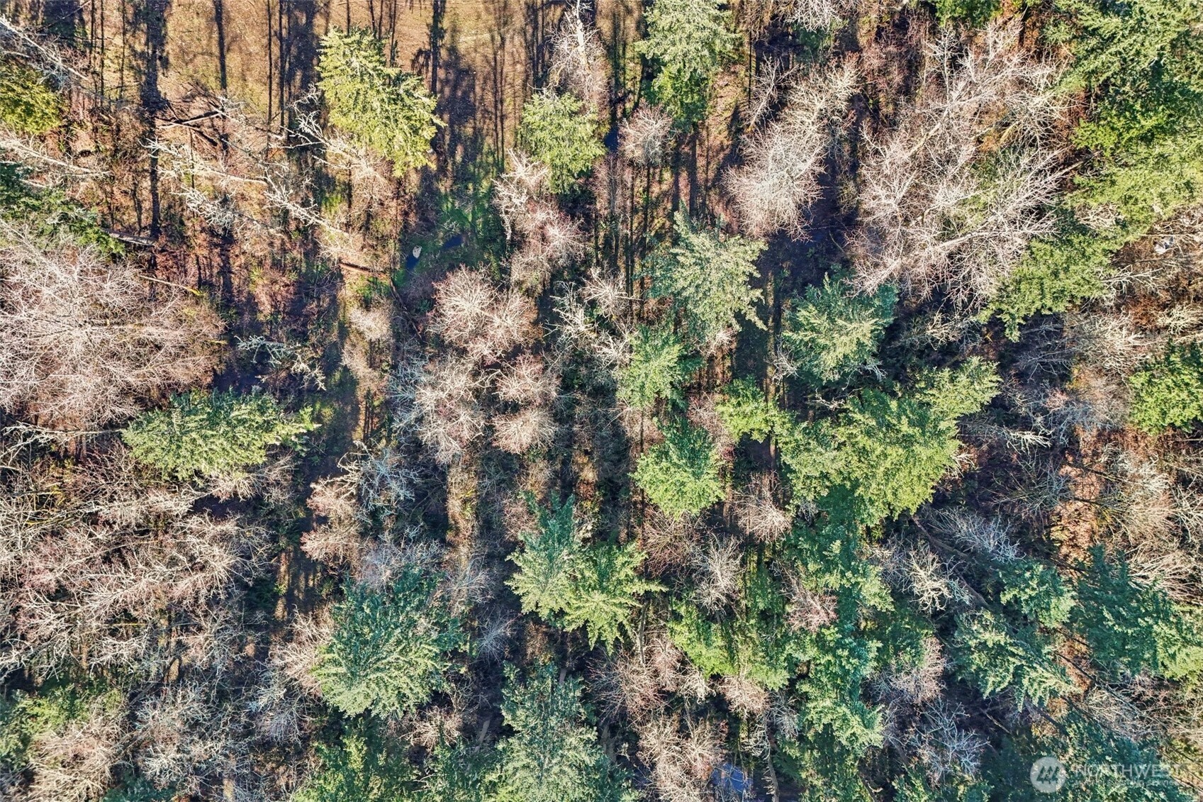 33507 84th Avenue E, Eatonville, WA 98328