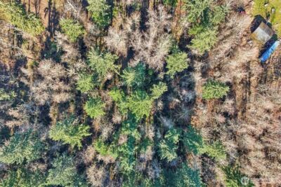 33507 84th Avenue E, Eatonville, WA 98328 - Photo 28