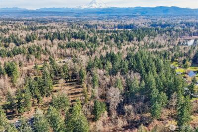 33507 84th Avenue E, Eatonville, WA 98328 - Photo 29