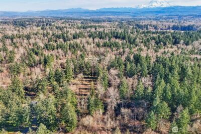 33507 84th Avenue E, Eatonville, WA 98328 - Photo 30