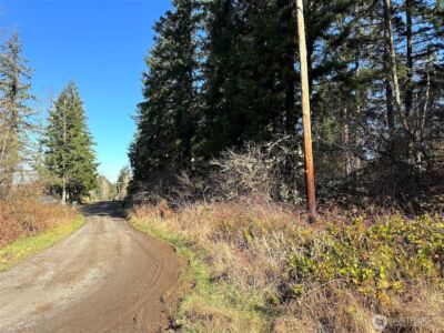 33507 84th Avenue E, Eatonville, WA 98328 - Photo 3