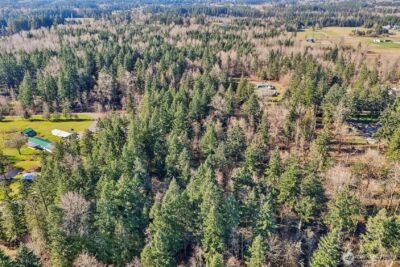 33507 84th Avenue E, Eatonville, WA 98328 - Photo 33