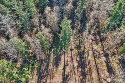 33507 84th Avenue E, Eatonville, WA 98328 - Photo 6