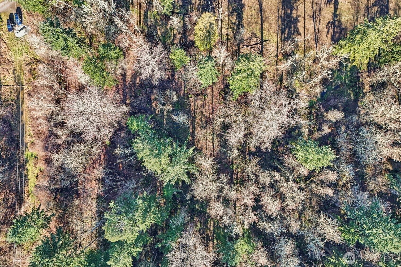 33507 84th Avenue E, Eatonville, WA 98328