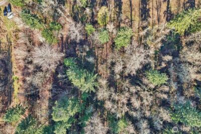 33507 84th Avenue E, Eatonville, WA 98328 - Photo 7