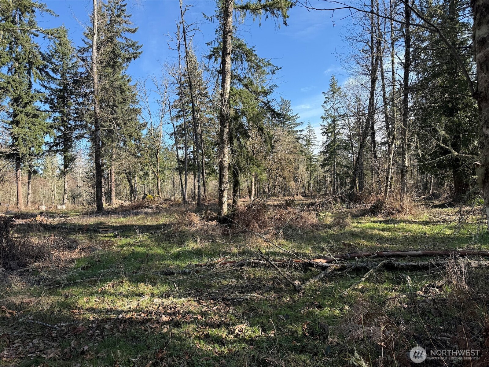 33507 84th Avenue E, Eatonville, WA 98328