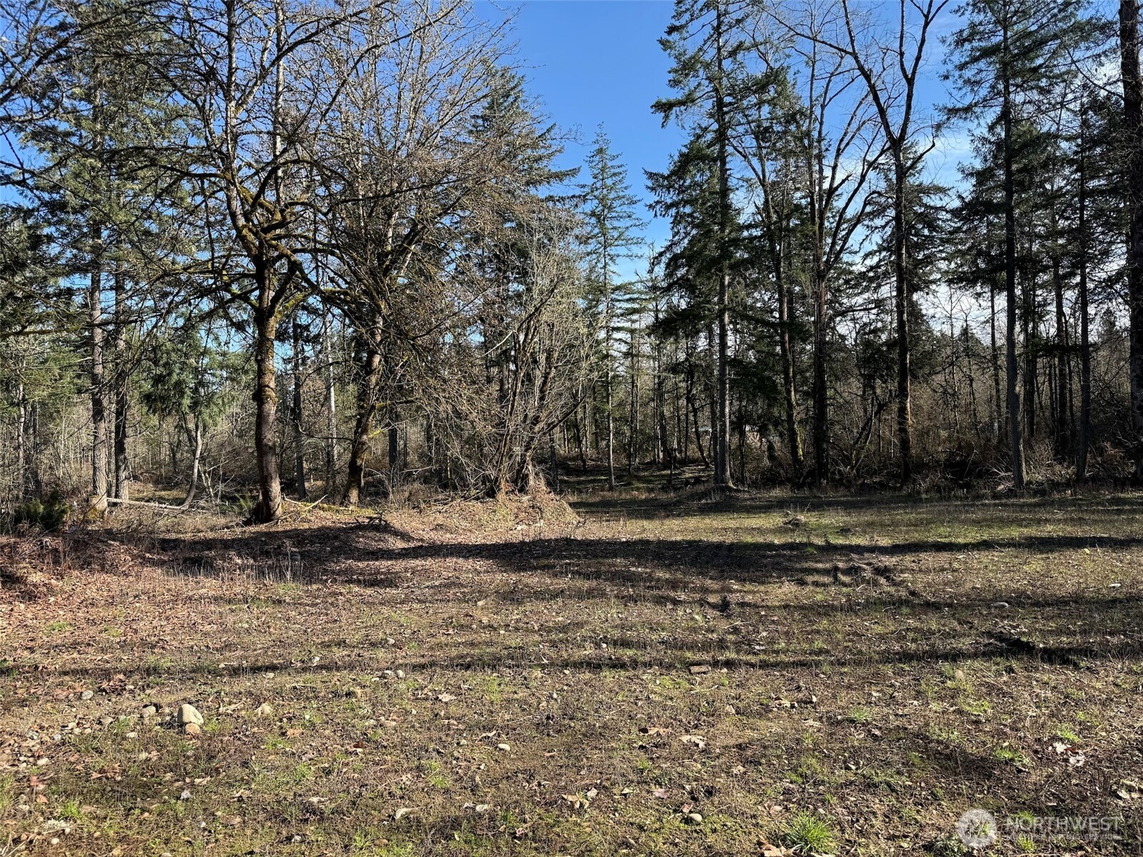 33507 84th Avenue E, Eatonville, WA 98328