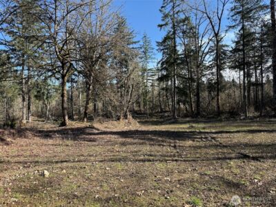 33507 84th Avenue E, Eatonville, WA 98328 - Photo 9