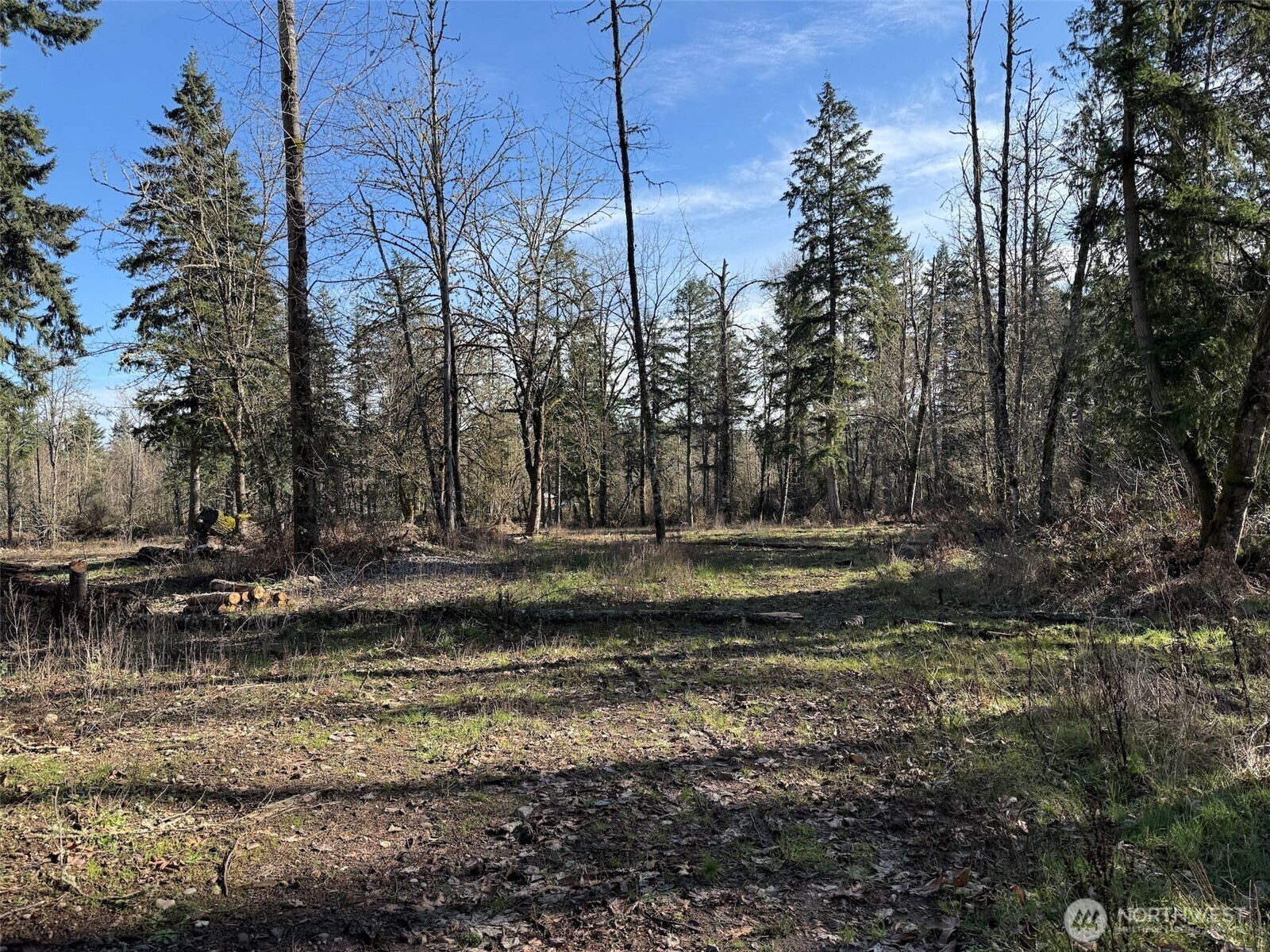 33507 84th Avenue E, Eatonville, WA 98328