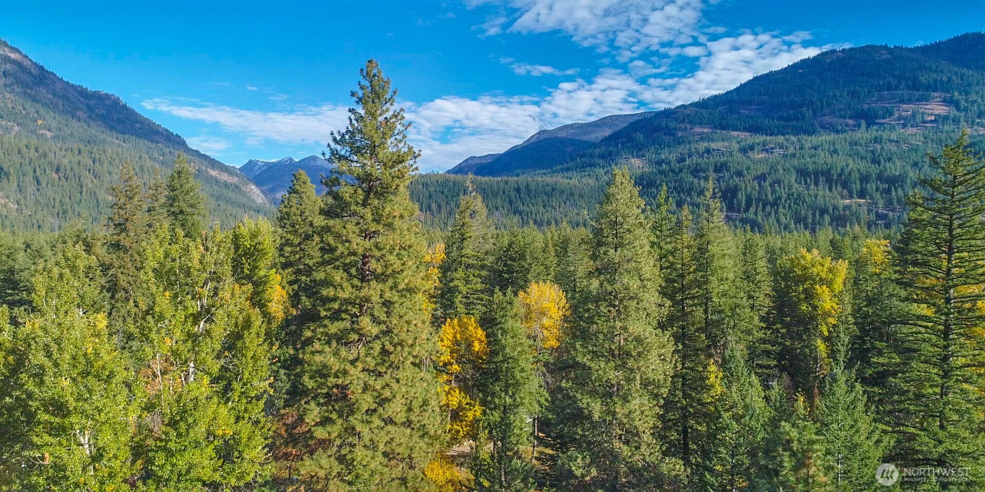 26 Mercer Road , Mazama, WA 98833
