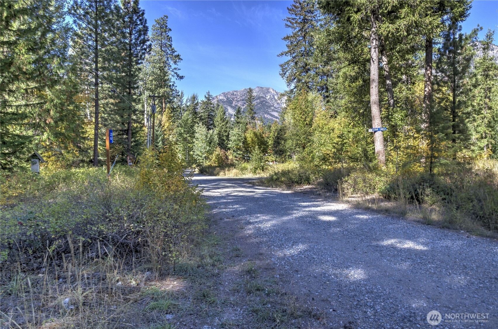 26 Mercer Road , Mazama, WA 98833
