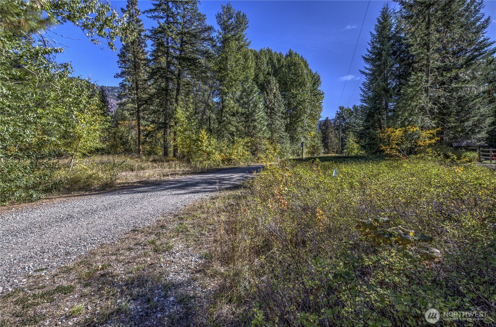 26 Mercer Road , Mazama, WA 98833