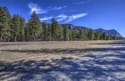 26 Mercer Road , Mazama, WA 98833 - Photo 39