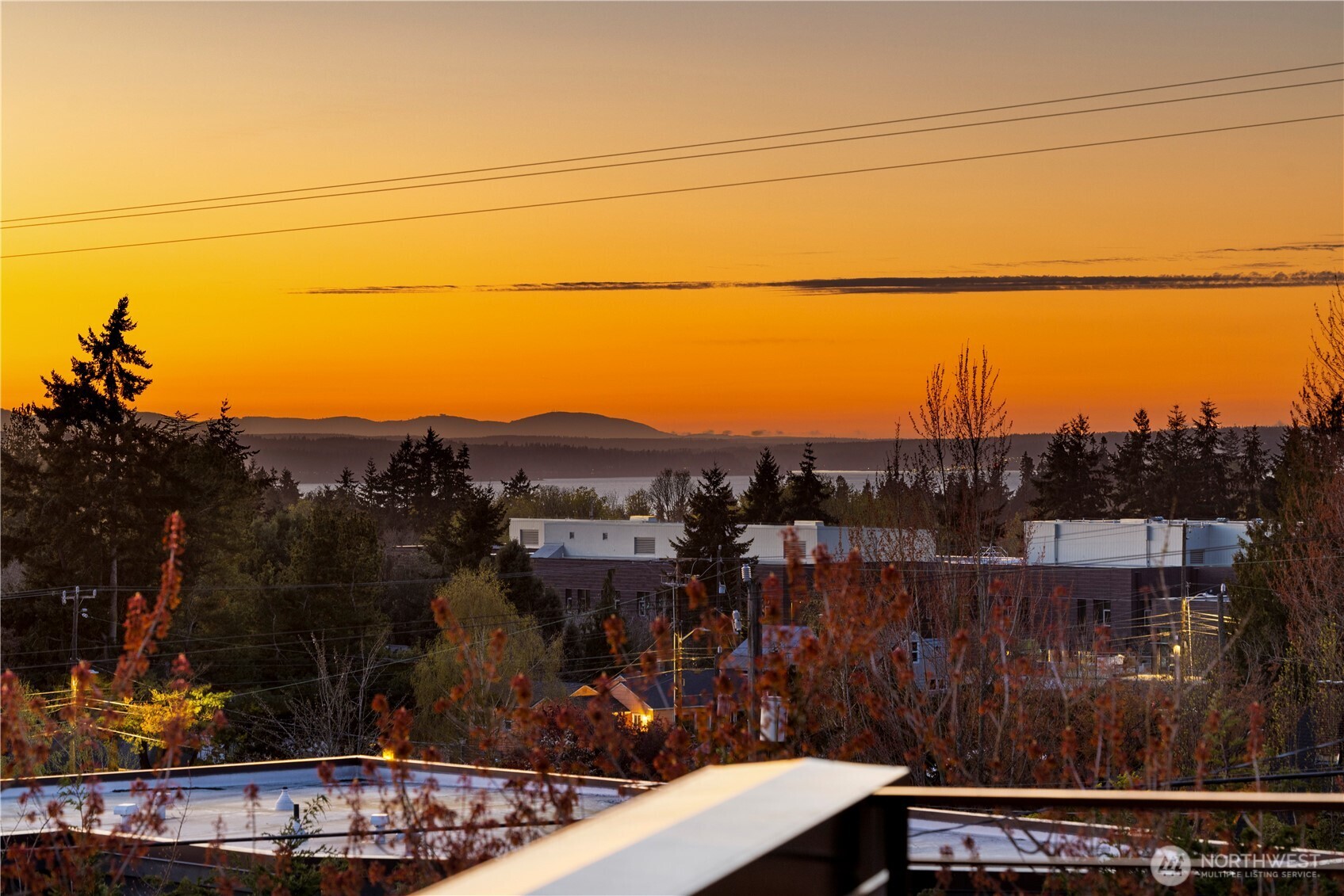 10162 Holman Road NW #C, Seattle, WA 98177