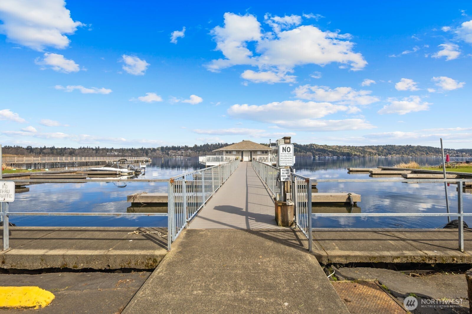 17203 NE 45th Street #46, Redmond, WA 98052