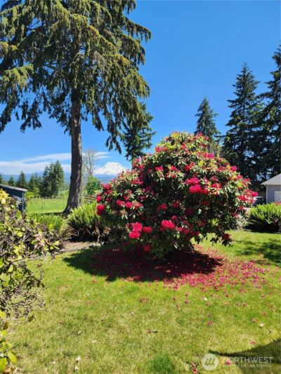 7704 283rd Street Court E, Graham, WA 98338 - Photo 23