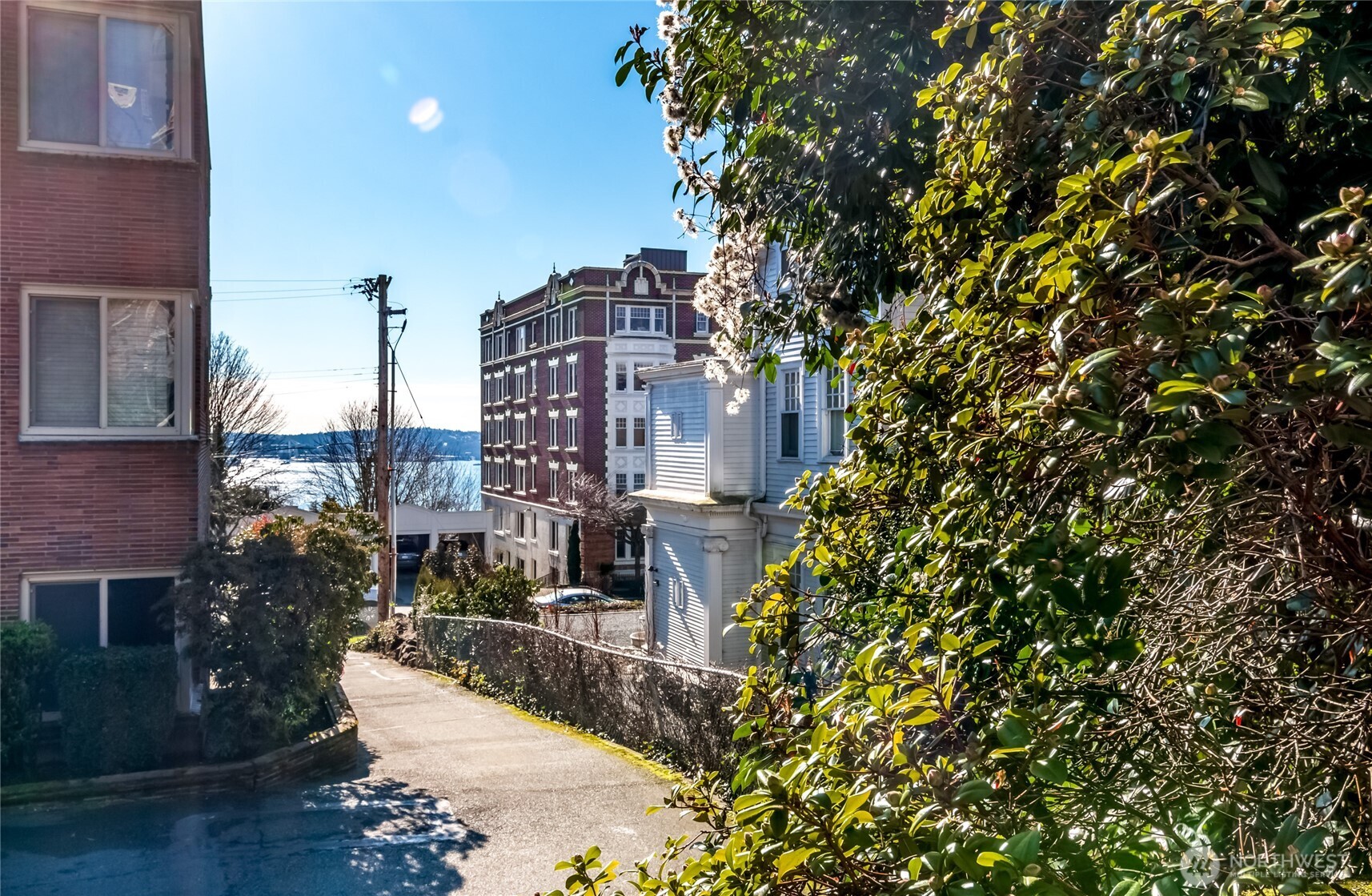 21 W Comstock Street #102, Seattle, WA 98119