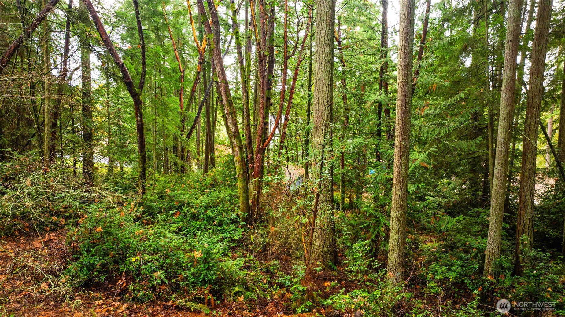 0 XXXX Allview Boulevard NE, Bremerton, WA 98311