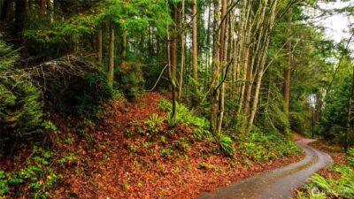 0 XXXX Allview Boulevard NE, Bremerton, WA 98311 - Photo 12