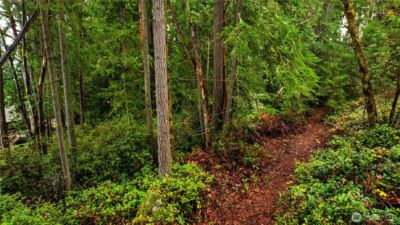 0 XXXX Allview Boulevard NE, Bremerton, WA 98311 - Photo 14