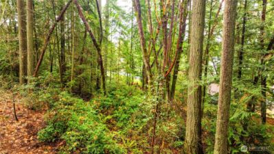 0 XXXX Allview Boulevard NE, Bremerton, WA 98311 - Photo 10