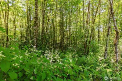 11 Lot Cassie Place NW, Poulsbo, WA 98370